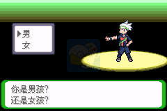 口袋妖怪空之花神（最终汉化补完版）