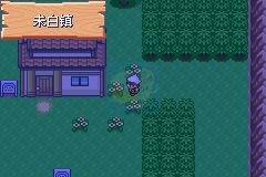 口袋妖怪日食月食（中文版）