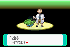 口袋妖怪噩梦的前夕（中文版）