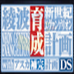 新世纪福音战士凌波育成计划DSWith明日香补完计划(日版) 新世纪福音战士凌波育成计划DSWith明日香补完计划(日版)