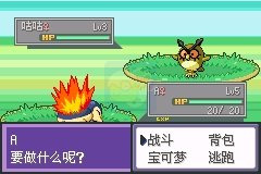 口袋妖怪液体水晶（中文版）