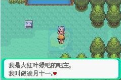 口袋妖怪Mega觉醒0.5（中文版）