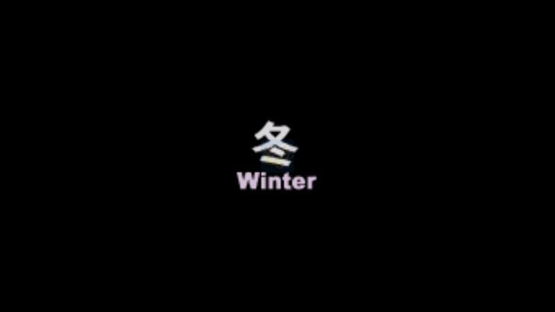 口袋妖怪超透黑22.5版（中文版）
