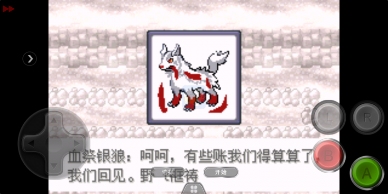 口袋妖怪迷失夜5（中文版）