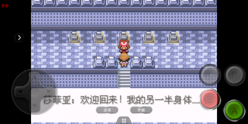 口袋妖怪迷失夜5（中文版）